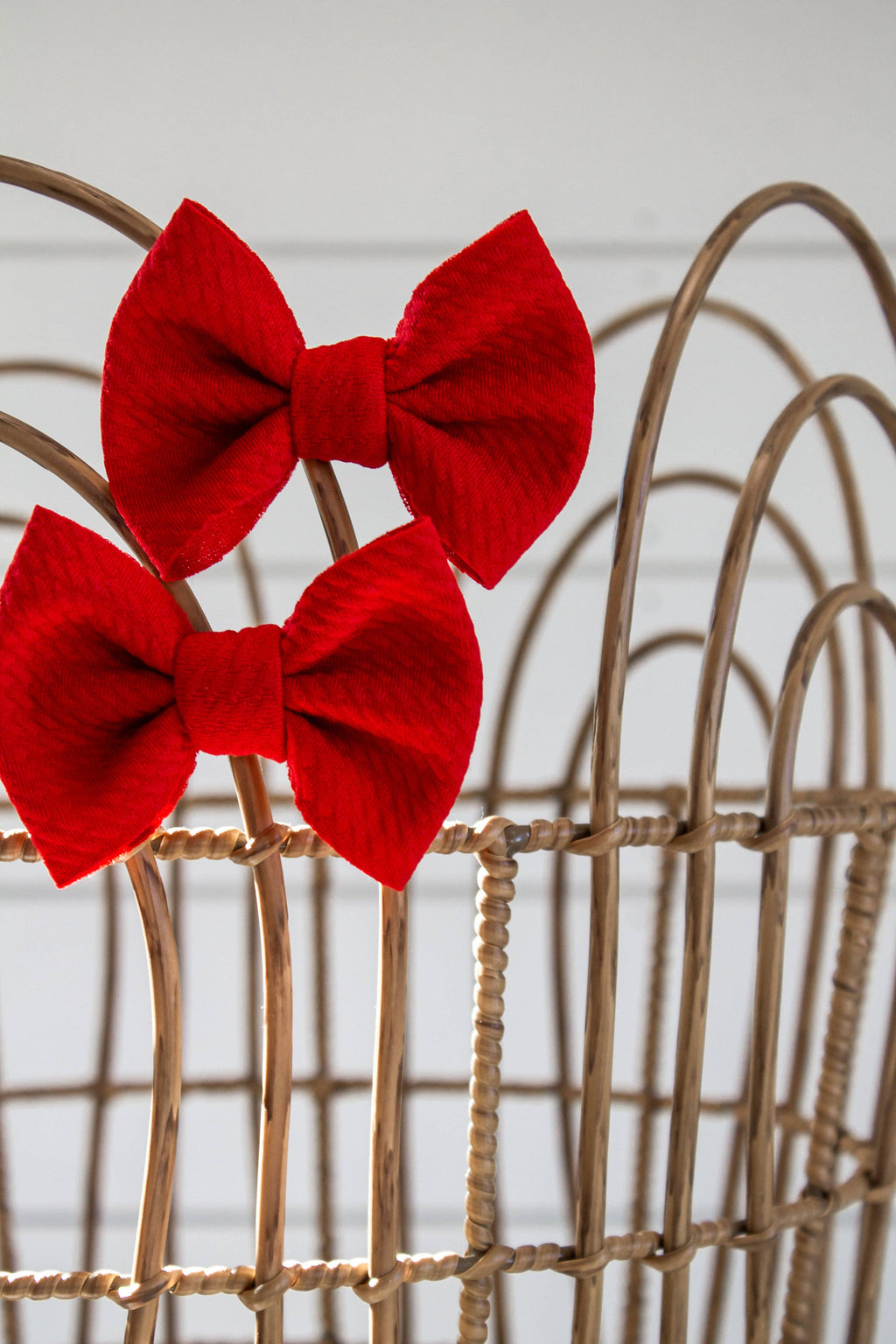 Red + Piggie Set   