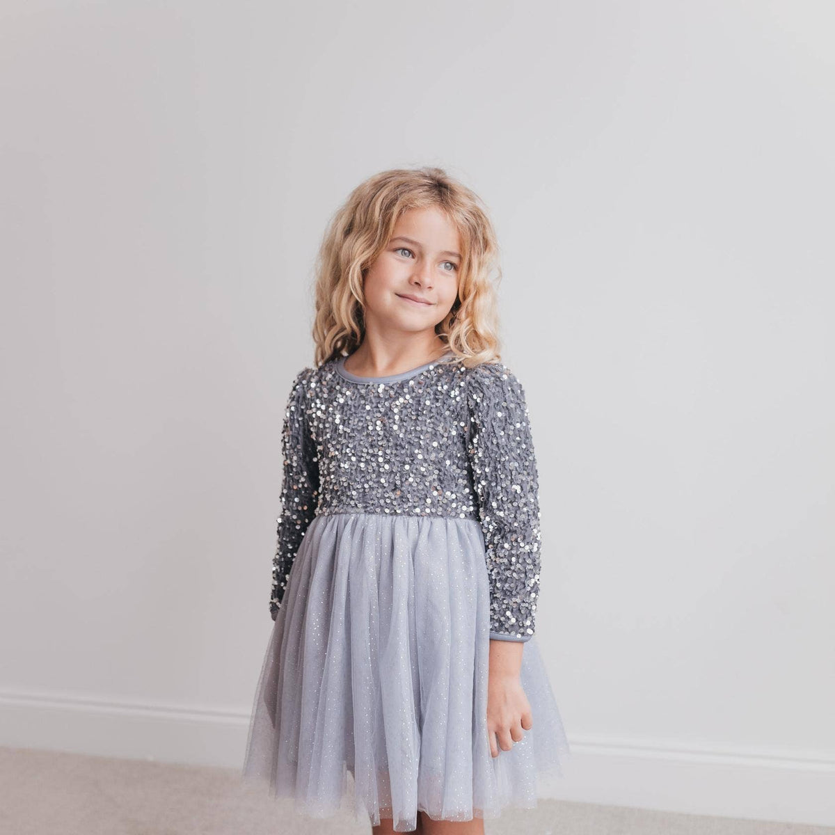 Holiday Party Dress | Silver Tulle & Sequin