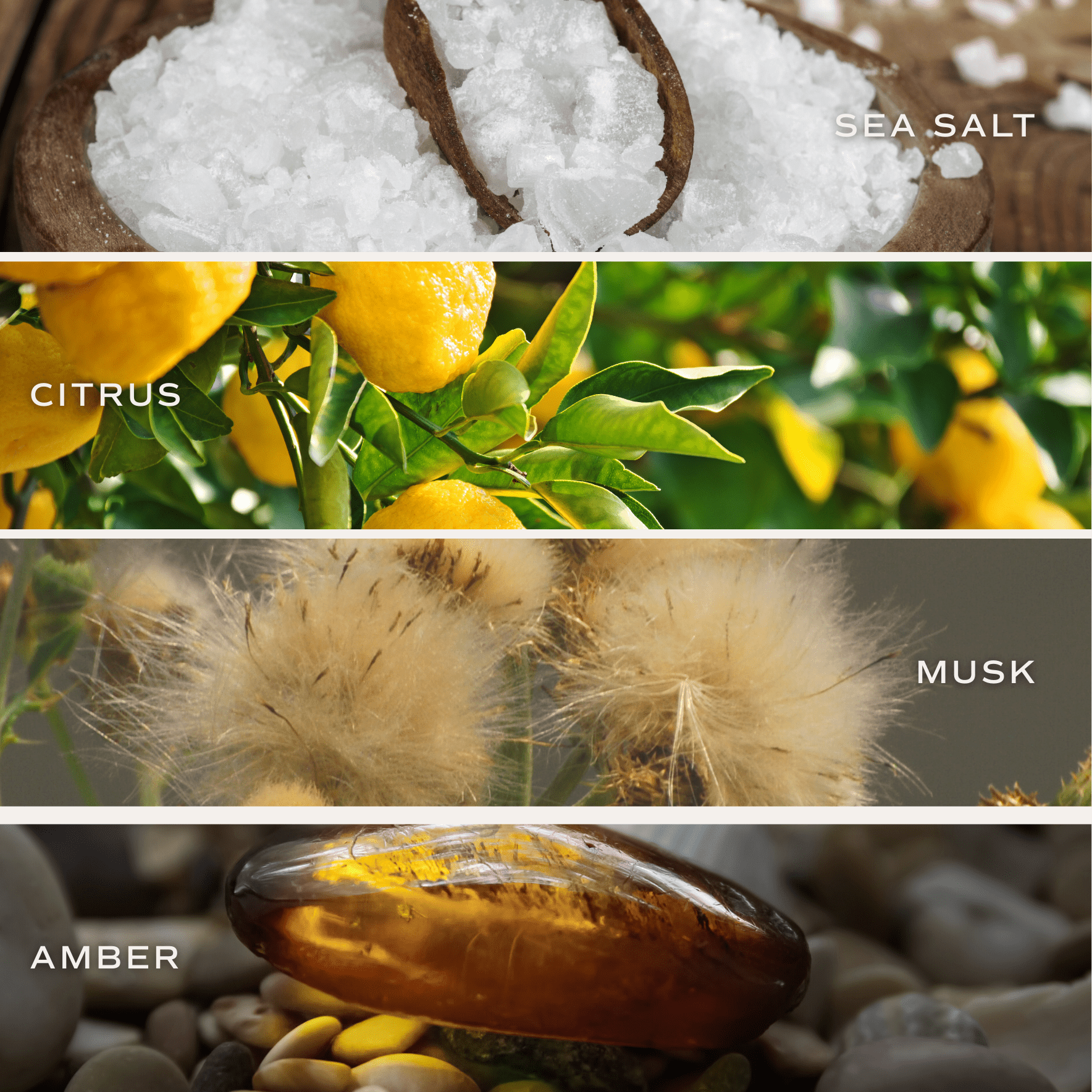 Room Reed Diffuser - Salt & Sea