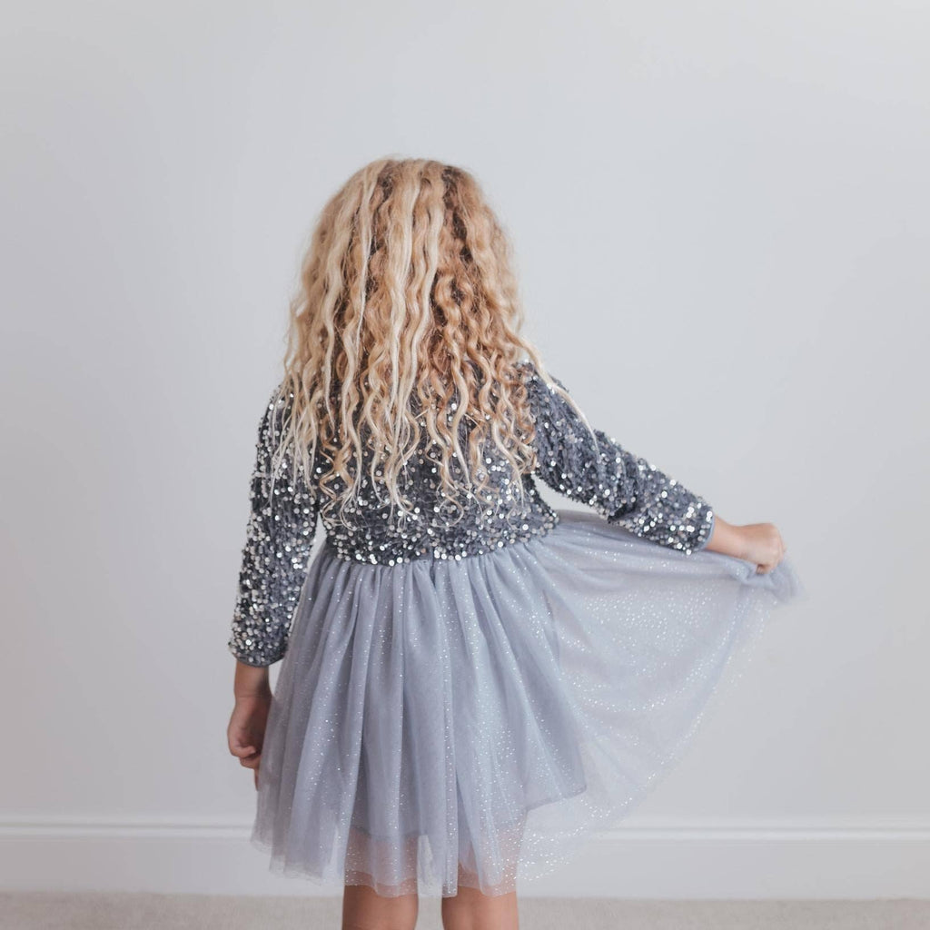 Holiday Party Dress | Silver Tulle & Sequin