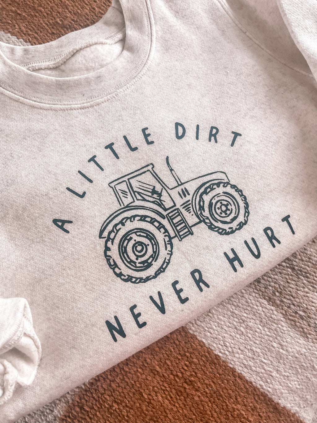 Little Dirt Never Hurt crewneck | Gray